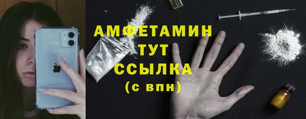 гидра Костерёво