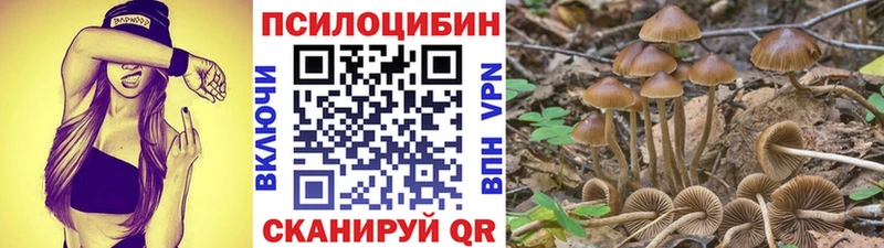 omg маркетплейс Бийск Псилоцибиновые грибы MAGIC MUSHROOMS цена