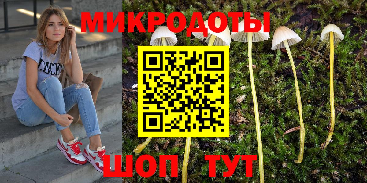 Псилоцибиновые грибы Cubensis Бийск