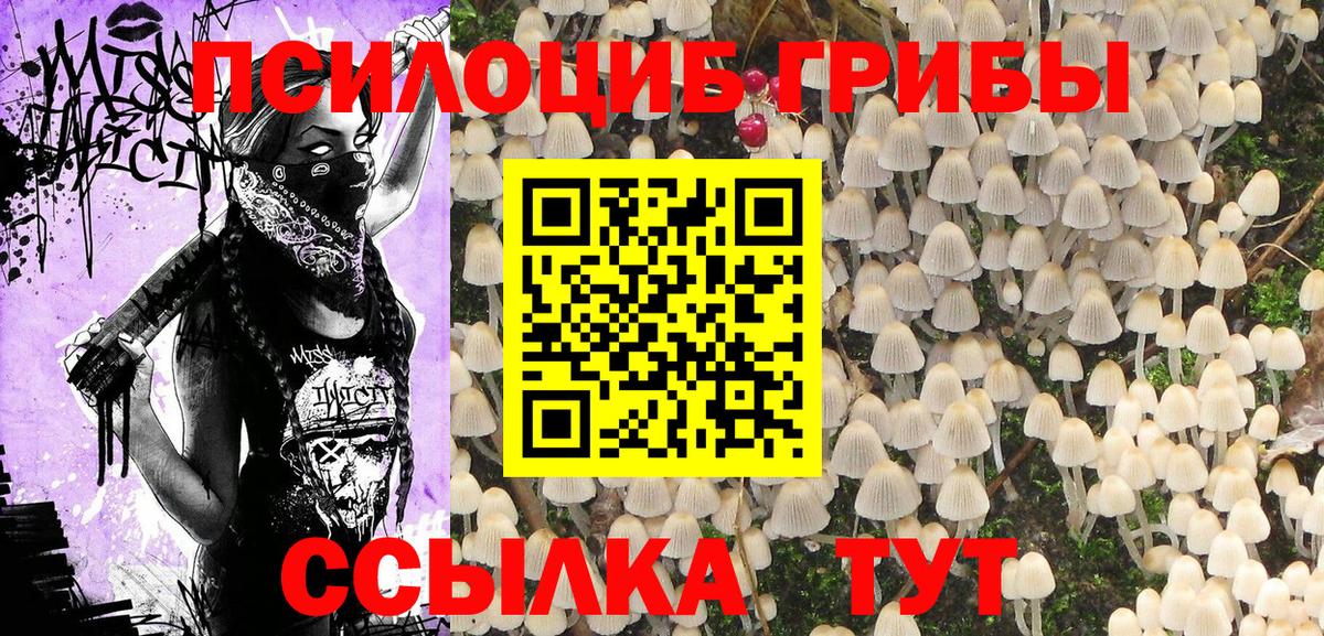 Псилоцибиновые грибы MAGIC MUSHROOMS Бийск