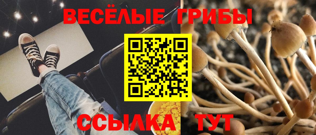 Бийск  как найти закладки  Галлюциногенные грибы мухоморы  Вход с VPN  Псилоцибиновые грибы Magic Shrooms 