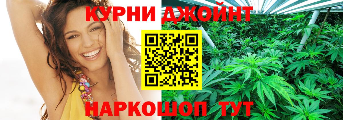Бошки марихуана планчик  Вход с VPN  Бийск  Канабис MAZAR 